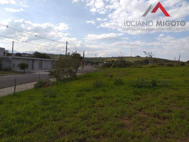 Terreno para Venda em Taubaté - 5