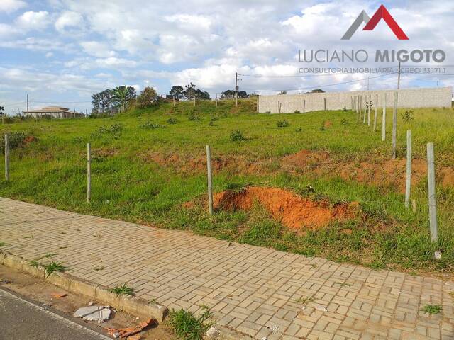 Terreno para Venda em Taubaté - 4