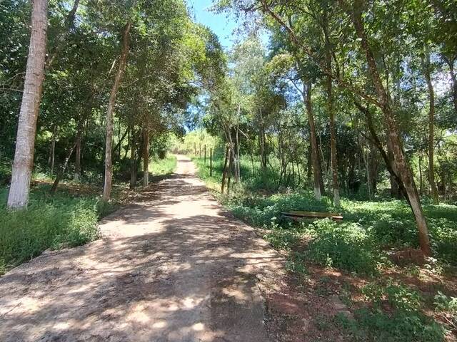 Sítio para Venda em Taubaté - 4