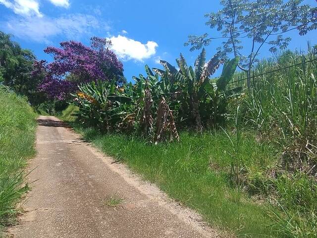 Sítio para Venda em Taubaté - 5