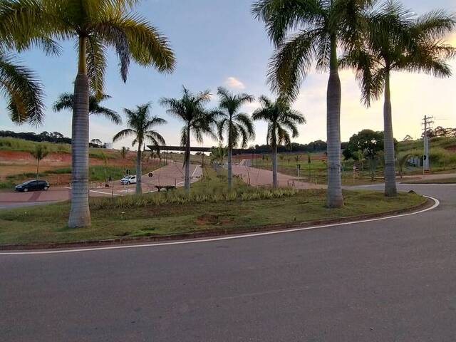 Terreno para Lançamento em Taubaté - 4