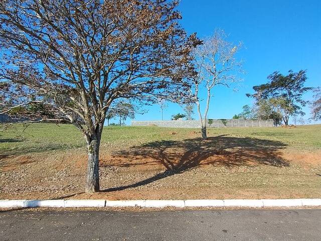#TE0001 - Terreno para Venda em Taubaté - SP - 3