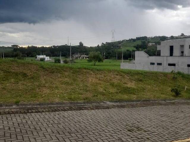 #1214 - Terreno para Venda em Taubaté - SP - 2