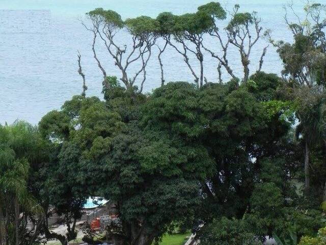 #341 - Apartamento para Venda em Ubatuba - SP - 3