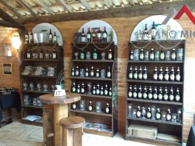 Ponto Comercial para Venda em Santo Antônio do Pinhal - 4