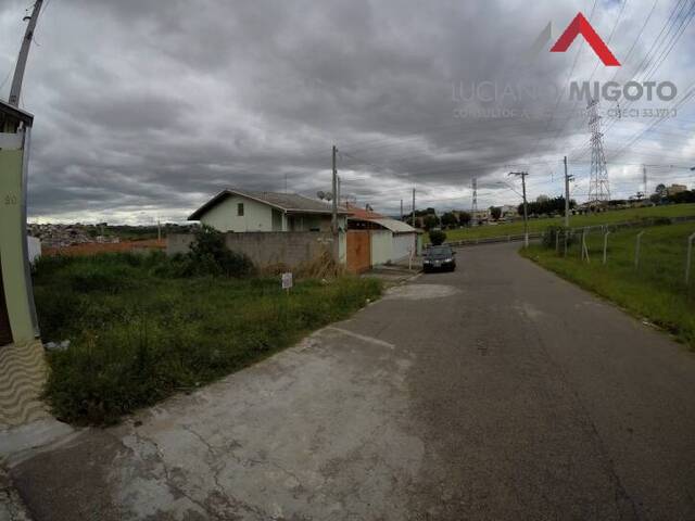 Terreno para Venda em Taubaté - 4